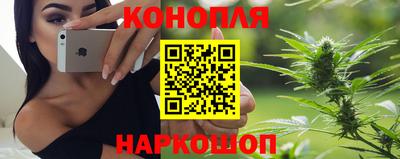 крисы Бузулук